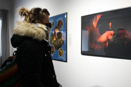 A NBCCD student looks at a 3d-modelled fish in a frame on the wall of the George Fry Gallery.