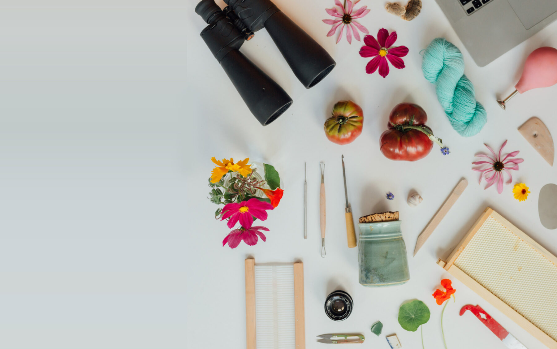 Colourful flowers, craft tools, garden vegetables, and art supplies lay across a white floor.